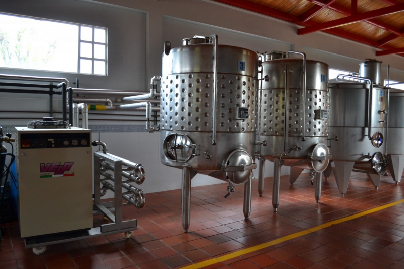 cave-OLLIOULES-min_wine_production_cantine_winery_drink_alcohol_vine_beverage-902036